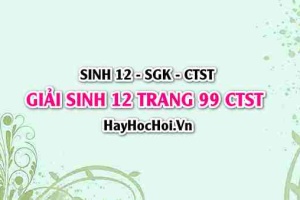Giải Sinh 12 trang 99 Chân trời sáng tạo SGK